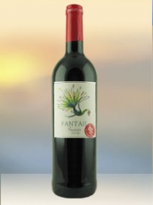 2014 Fantail Pinotage Rotwein aus Südafrika