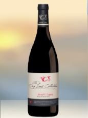 2014 Dry Land Josephs Legacy Rotwein aus Südafrika