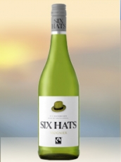 2019 Viognier Weißwein aus Südafrika