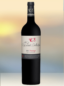 2015 Pinotage Dry Land Resolve Rotwein aus Südafrika